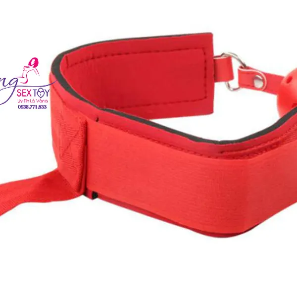 Set Đồ Chơi Bạo Dâm Khóa Tay và Bịt Miệng Siêu Phê