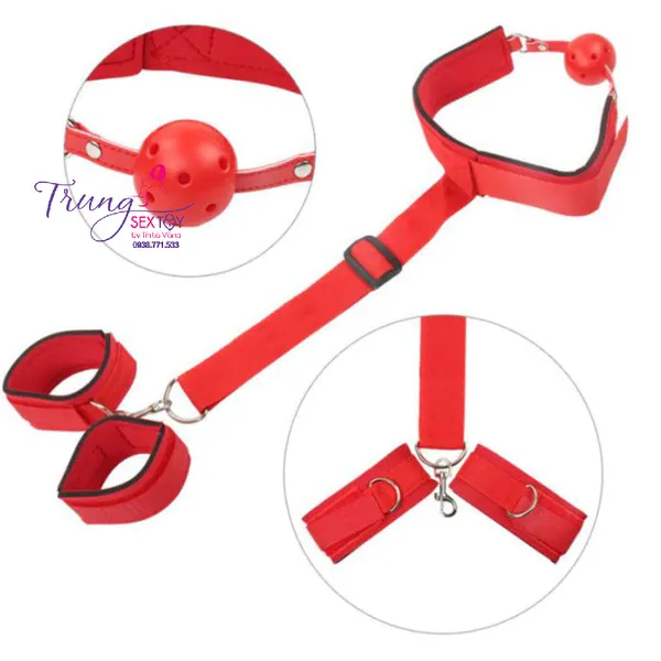 Set Đồ Chơi Bạo Dâm Khóa Tay và Bịt Miệng Siêu Phê