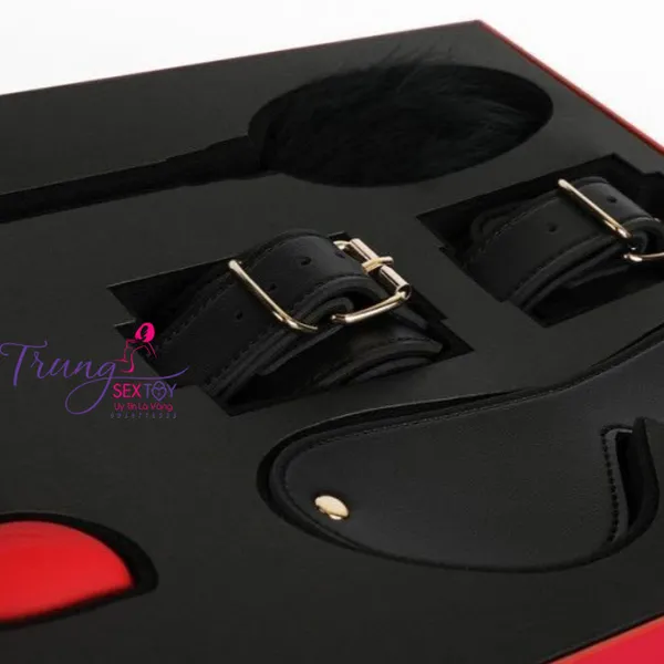 Tận hưởng đầy sự khoái lạc với BDSM cao cấp Svakom