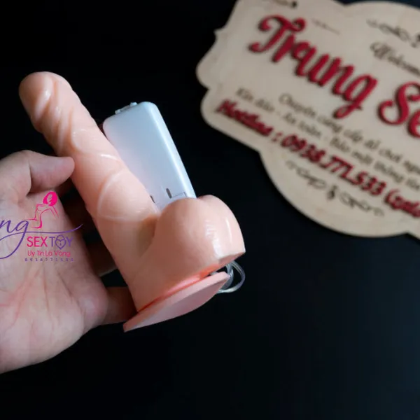 Dương Vật Giả Gắn Tường Rung Ngoáy Đa Chức Năng
