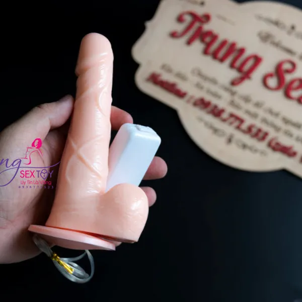 Dương Vật Giả Gắn Tường Rung Ngoáy Đa Chức Năng