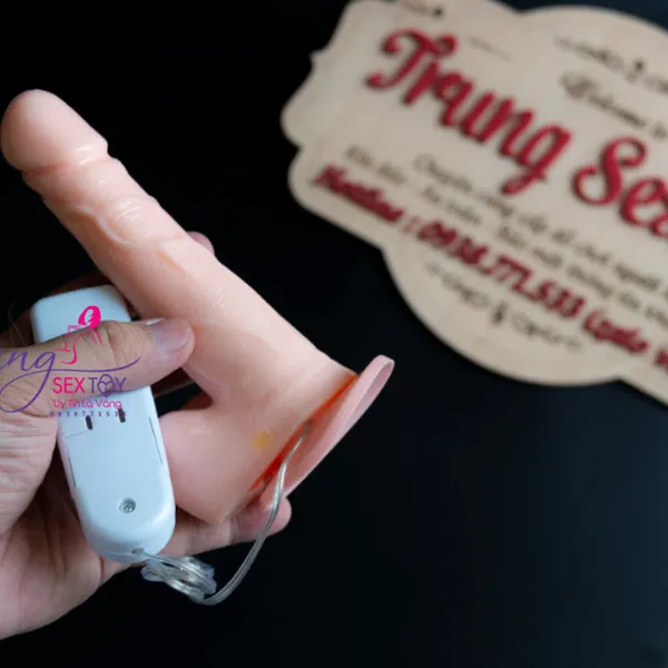 Dương Vật Giả Gắn Tường Rung Ngoáy Đa Chức Năng