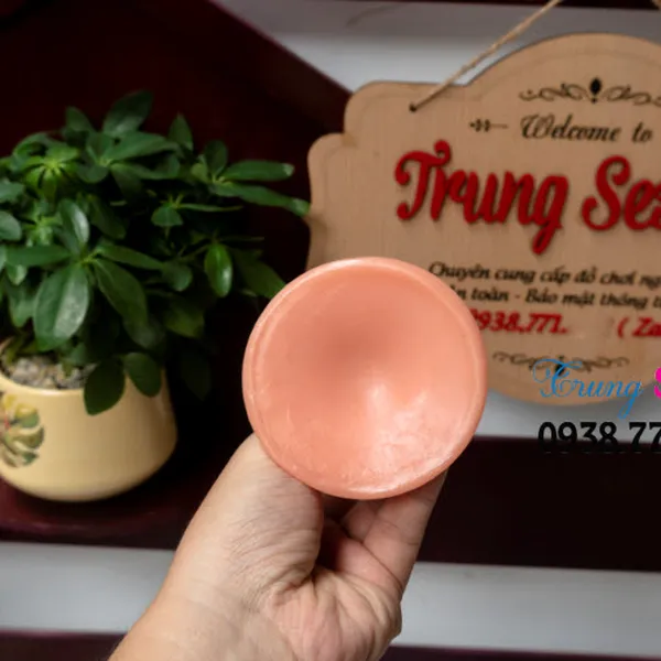 Đồ chơi tình dục dương vật giả co dây đeo như thật 