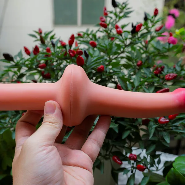 Dương vật giả cầm tay hai đầu Lovetoy siêu thật dài 30cm 