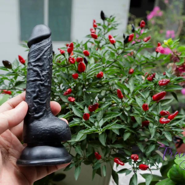 Thăng hoa với dương vật giả Mini màu đen siêu cưng 11*2cm