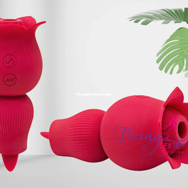 Bông Hồng Bú Liếm Vùng Kín - Thiết Kế Chất Liệu Lợi Ích