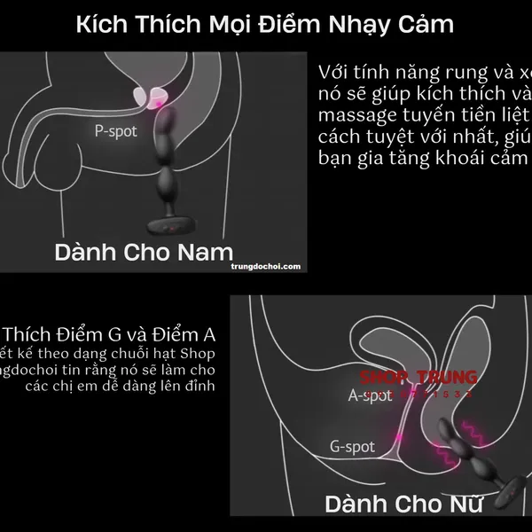 Lovense Ridge Máy Rung Hậu Môn Hàng Cao Cấp