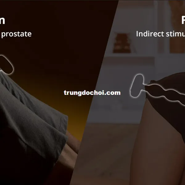 Lovense Ridge Máy Rung Hậu Môn Hàng Cao Cấp