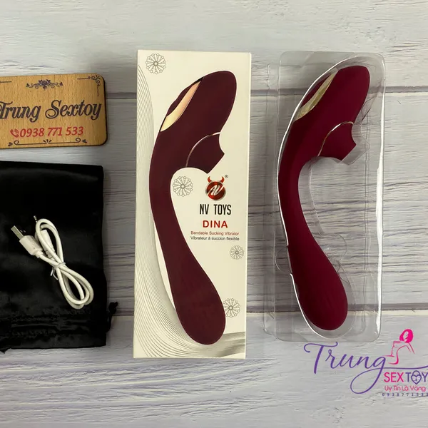 Hiểu như thế nào là lên đỉnh với Nvtoys DINA?