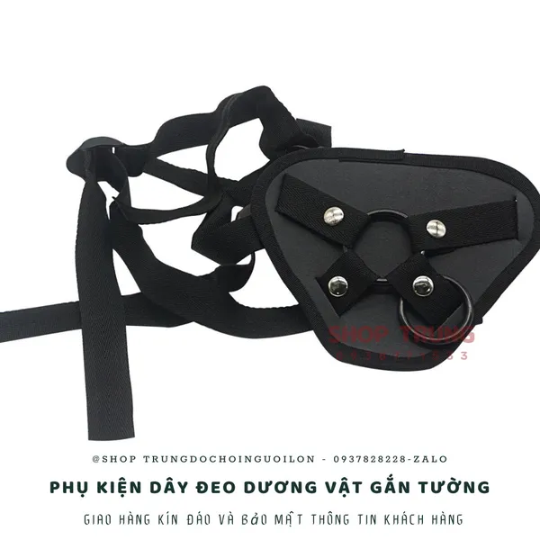 Phụ kiện đai đeo dương vật - có thể gắn mọi dương vật gắn tường