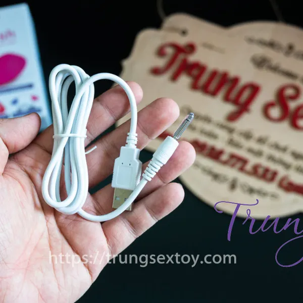 Trứng Rung Lovense Lush Hàng Chính Hãng USA 