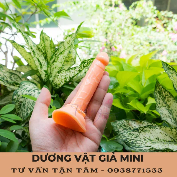 Dương Vật Giả Mini Giá Rẻ - Sự Lựa Chọn Hoàn Hảo Cho Phái Nữ