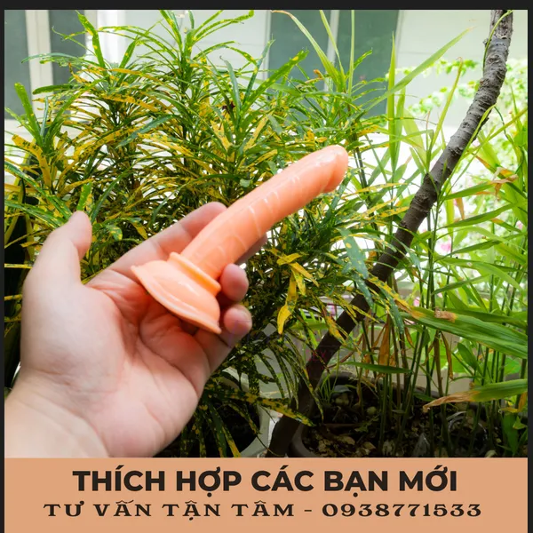 Dương Vật Giả Mini Giá Rẻ - Sự Lựa Chọn Hoàn Hảo Cho Phái Nữ