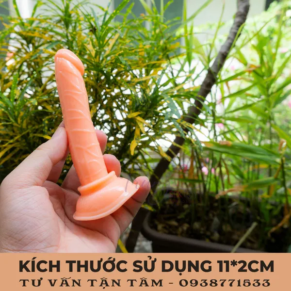 Dương Vật Giả Mini Giá Rẻ - Sự Lựa Chọn Hoàn Hảo Cho Phái Nữ