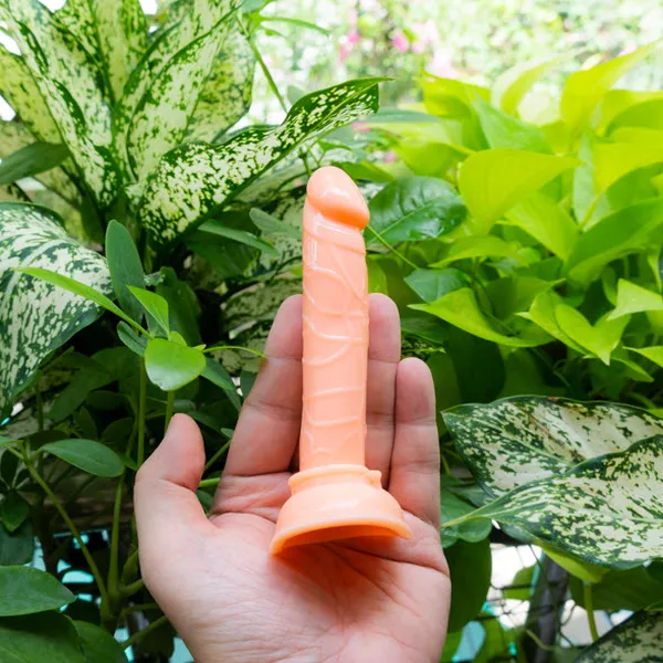 Dương Vật Giả Mini Giá Rẻ - Sự Lựa Chọn Hoàn Hảo Cho Phái Nữ