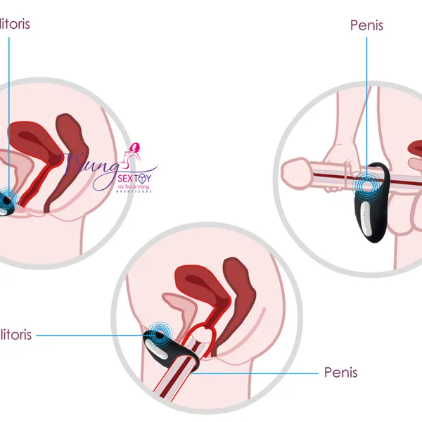 Vòng đeo dương vật SVAKOM Wendy rên không ngừng nghỉ khi làm tình
