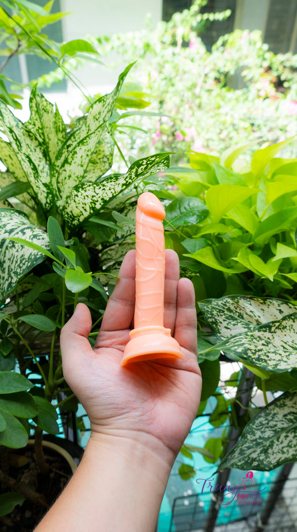 duong vat gia mini duong vat gia mini