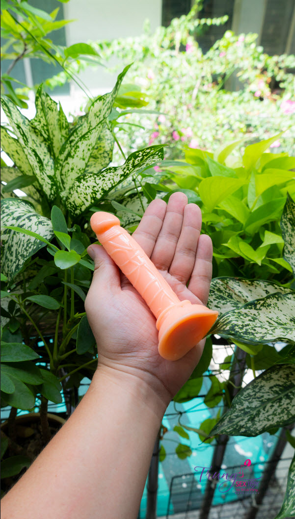 duong vat gia mini duong vat gia mini