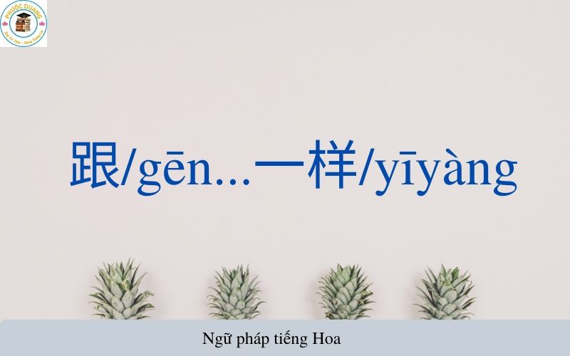 Cấu trúc 跟/gēn...一样/yīyàng