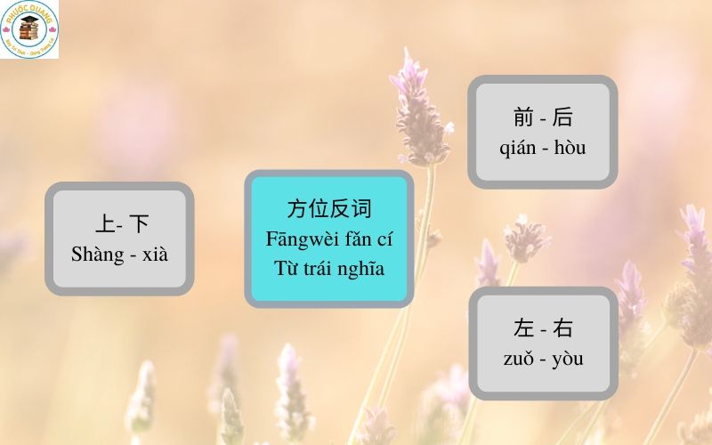 Sơ đồ tư duy các từ trái nghĩa