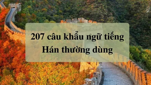 207 Câu Khẩu Ngữ Tiếng Hán Thường Dùng
