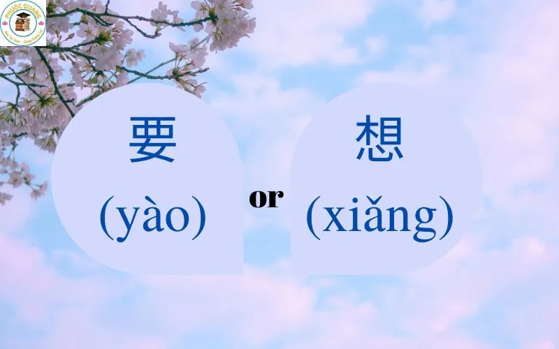 Xiang và Yao được sử dụng như thế nào trong câu?
