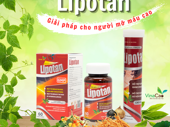 Lipotan Vinacao - Giải pháp kiểm soát mỡ máu hiệu quả
