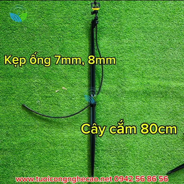 CÂY CẮM 80CM KẸP ỐNG 7MM 8MM