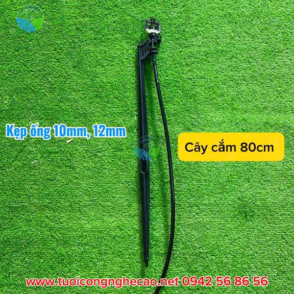 CÂY CẮM 80CM KẸP ỐNG 10MM 12MM
