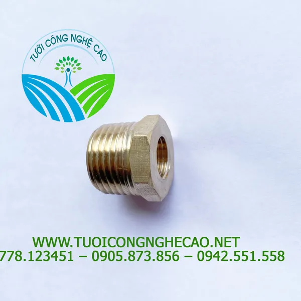 CHÂN ĐỒNG GẮN ĐỒNG HỒ ÁP REN NGOÀI 21MM REN TRONG 17MM
