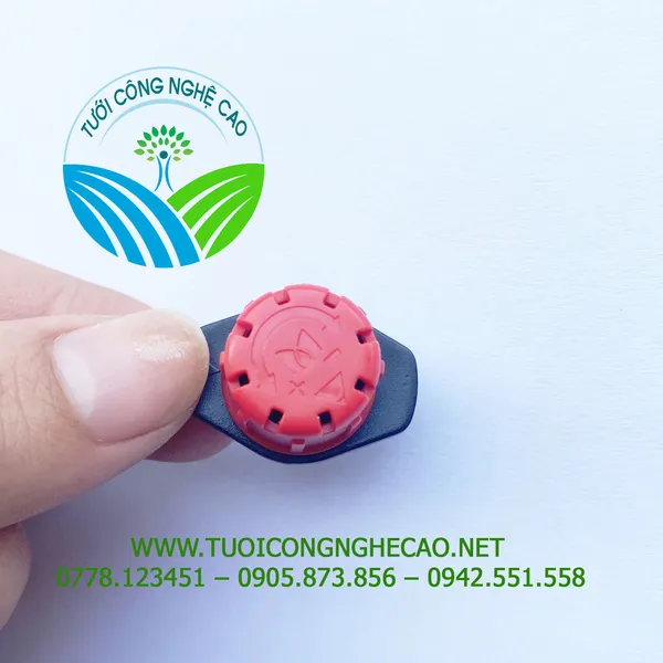ĐẦU BÉC 8 TIA