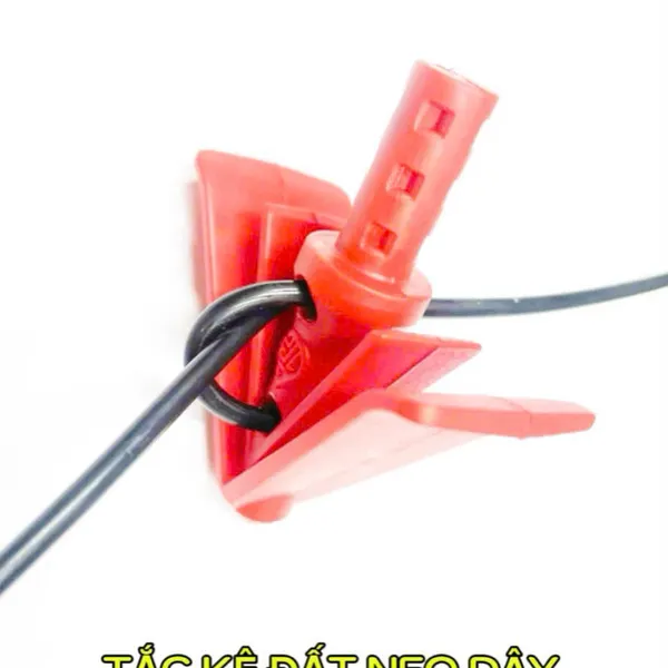 TẮC KÊ ĐẤT NEO DÂY