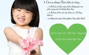 Dịch Vụ Hoa Tươi, Điện Hoa, Tặng Hoa, Tặng Quà Ngày Thầy Thuốc Việt Nam 27-2 Tại TP Hồ Chí Minh, Hà Nội, Đà Nẵng, Hải Phòng, Cần Thơ... 63 Tỉnh Thành