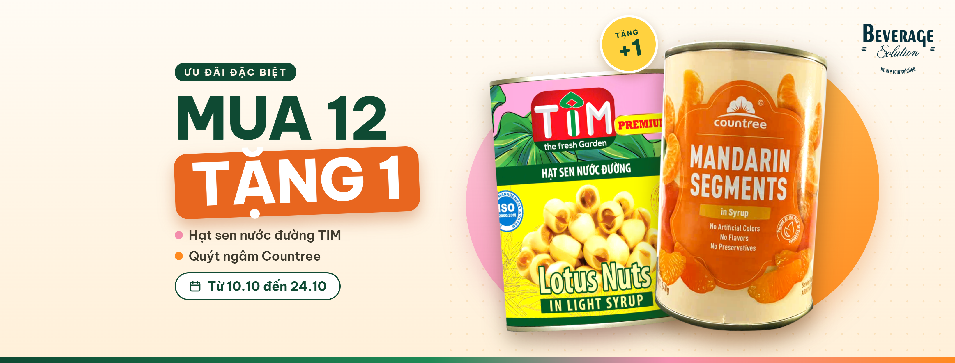 MUA 12 TẶNG 1