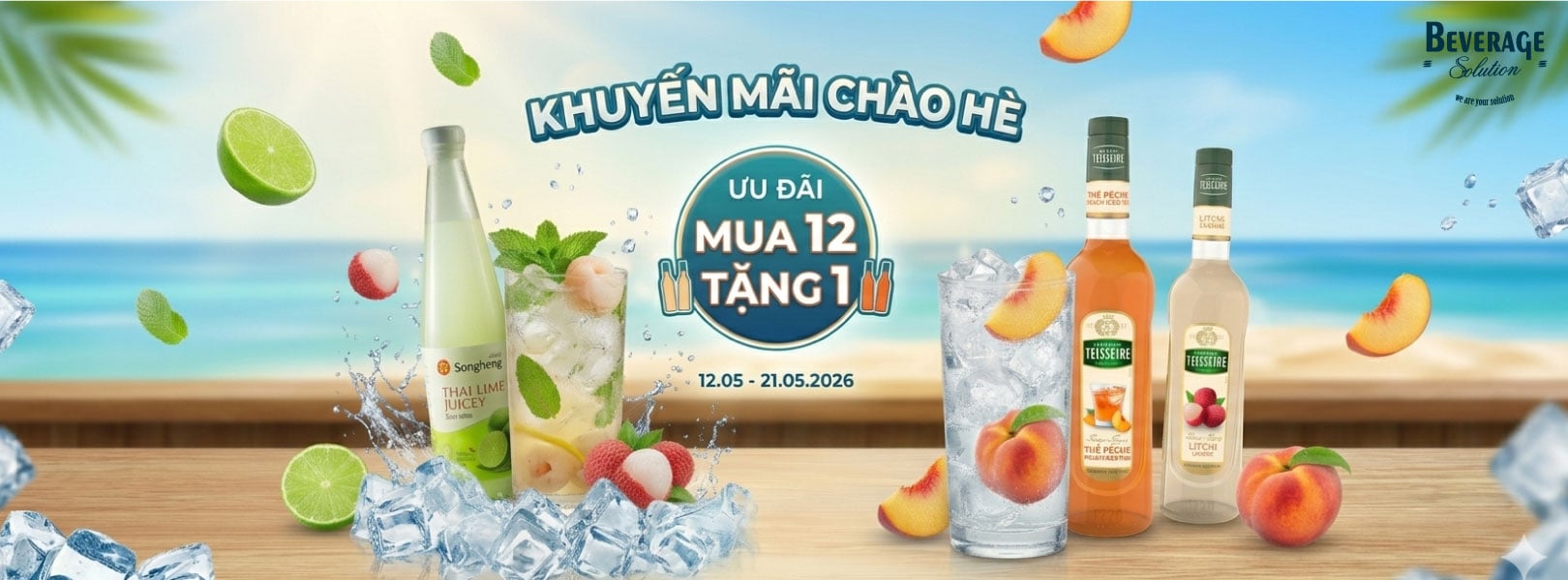 Mua 12 tặng 1