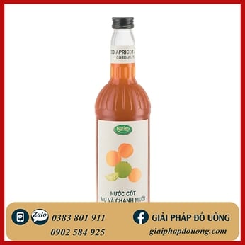 NƯỚC CỐT OSTERBERG MƠ & CHANH MUỐI 1L 