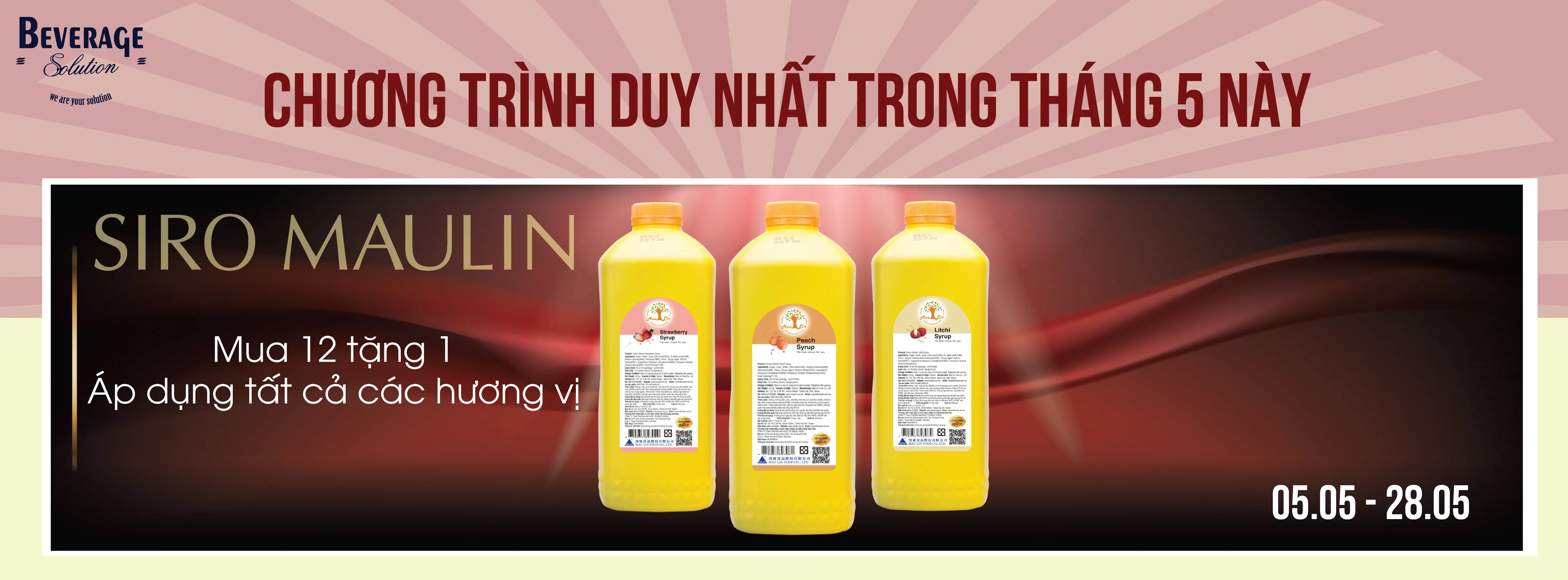 MUA 12 TẶNG 1