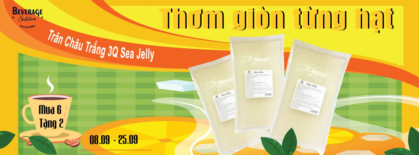 MUA 6 TẶNG 2