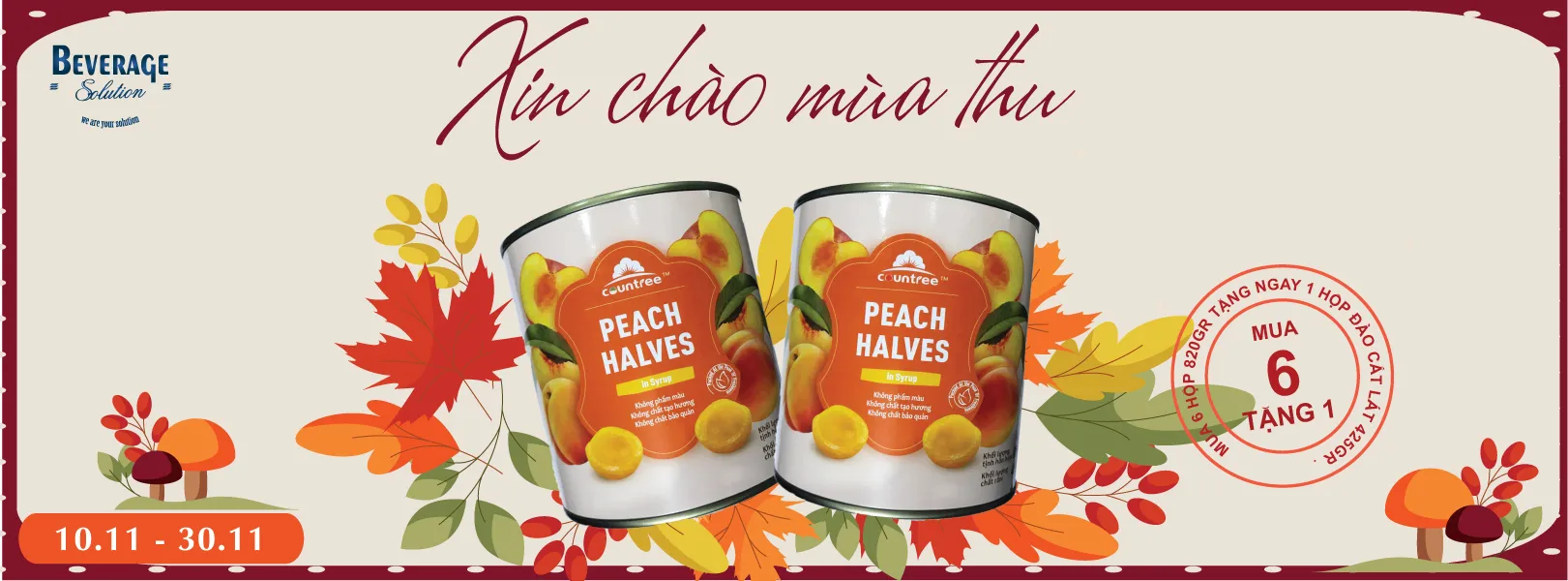 MUA ĐÀO TẶNG ĐÀO