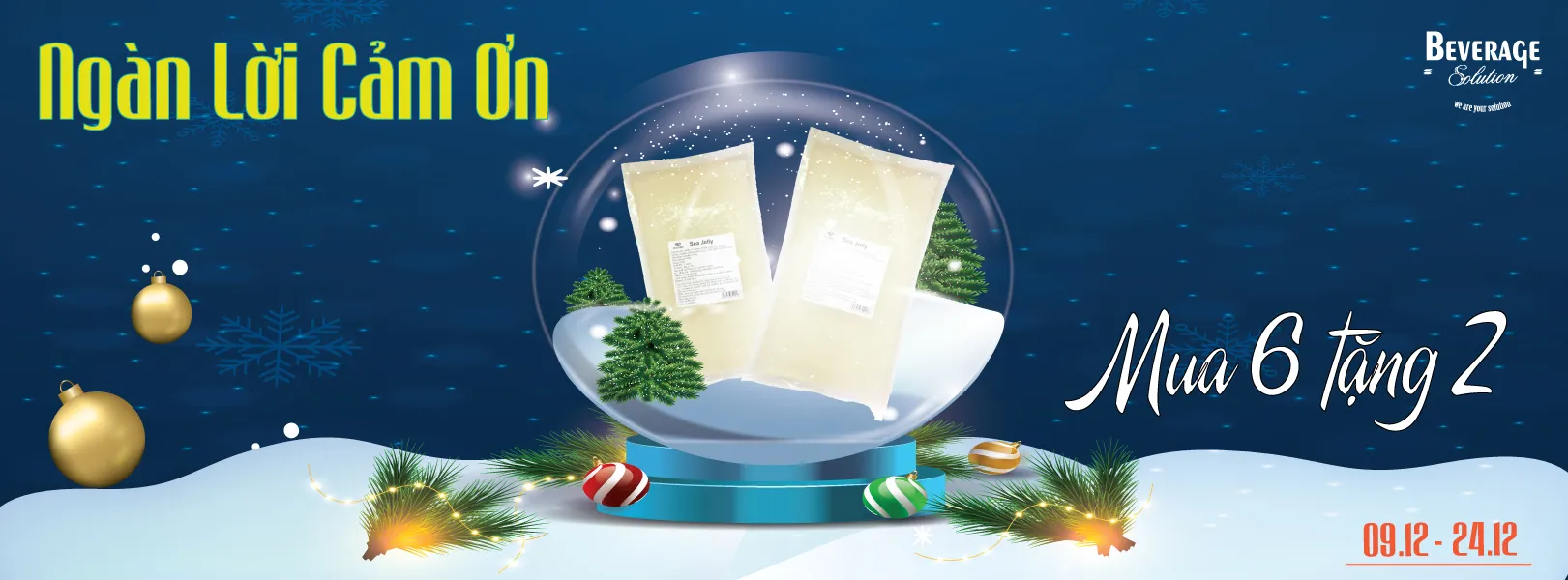 MUA 6 TẶNG 2