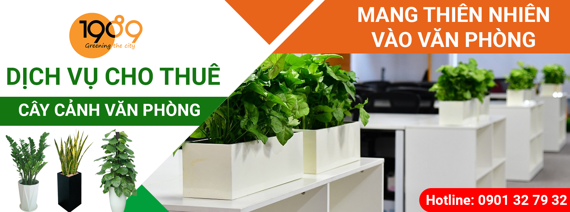 DỊCH VỤ THUÊ CÂY VĂN PHÒNG 