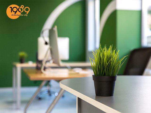 Cây xanh là một phần không thể thiếu trong một không gian làm việc. Với cây cối xanh tươi mát và sạch sẽ, bạn sẽ có thể tận hưởng không khí trong lành và tươi mới. Vậy tại sao lại không tạo ra một không gian làm việc tốt hơn bằng cách thêm một số cây xanh vào văn phòng của bạn?