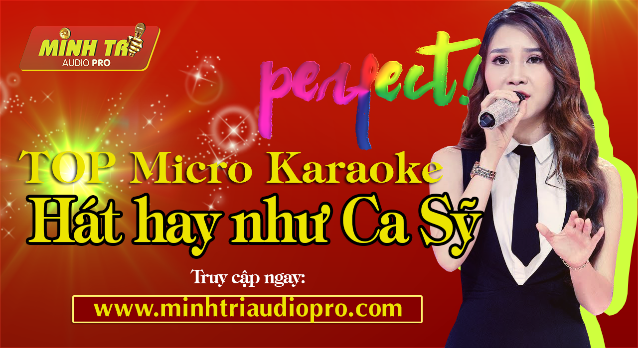 TOP MICRO KARAOKE GIÚP BẠN HÁT HAY NHƯ CA SỸ