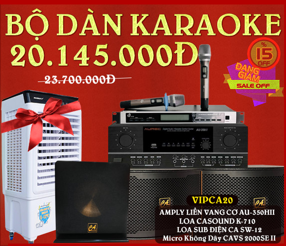HOT SALE THÁNG 1 - BỘ DÀN ÂM THANH KARAOKE VIPCA20