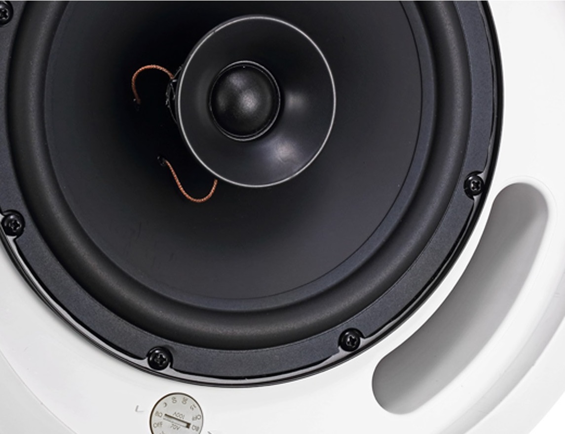 Loa JBL Control 18CT