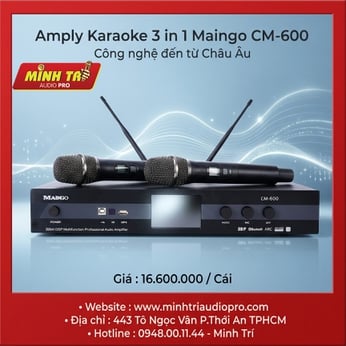 Amply Karaoke 3 in 1 Maingo CM-600