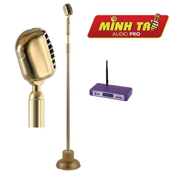 Micro Karaoke Đứng Lingrui HM-1306