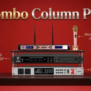 Combo Column Pro 1 : Giải pháp âm thanh karaoke cho gia đình 40m2