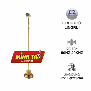 MICRO ĐỨNG KHÔNG DÂY LINGRUI YR-W