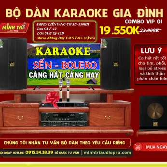 BỘ DÀN KARAOKE GIA ĐÌNH COMBO 1  (Tặng micro không dây)